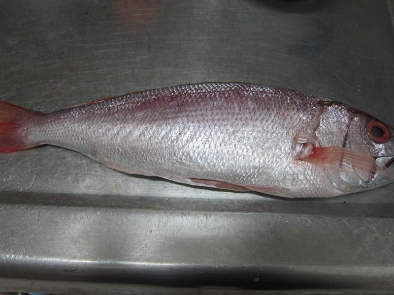 ����������ϲ�յ�����