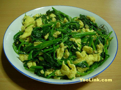 ���˳�����������