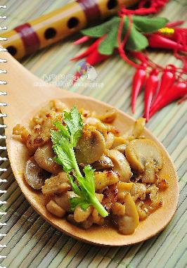 ����С��������Ģ����Ƭ������