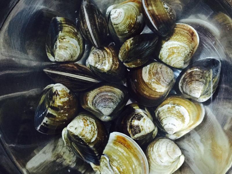 ���˺�ʽ���ʶ����ҵ�����