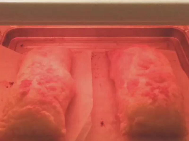 �ó�������ƻ���ɵ�����