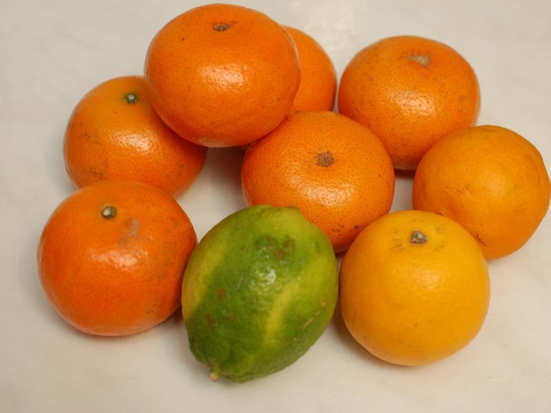 ��Ƹ��ٽ����ɵ�����������������ɳ������������