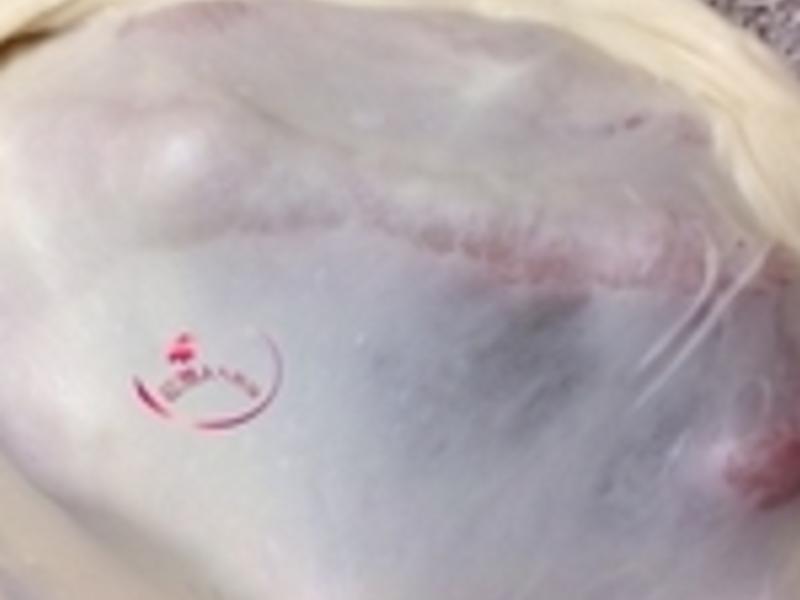 �ȹ���˾���������