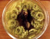 ��Ϻ�����������