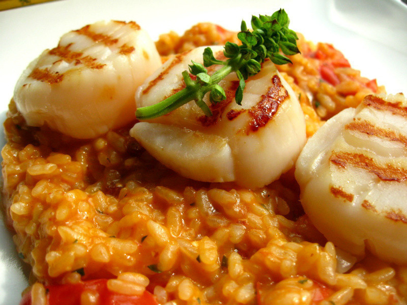 �ɱ���ϺŨ������������