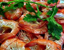 ��ɳ��ΧϺ������