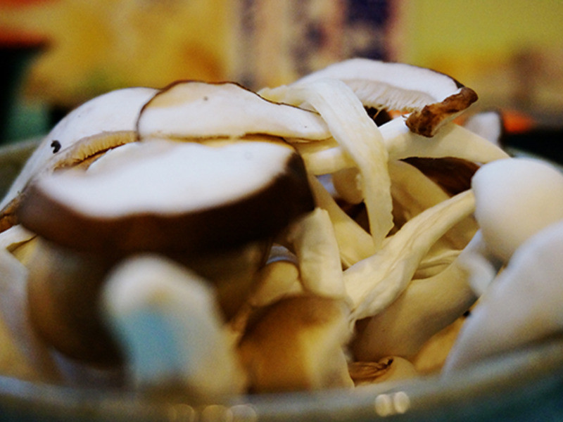 �ü� ������������ʲ�������������