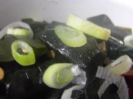 ���㺣���������