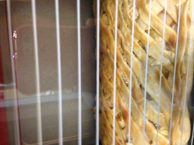 �򸣽�ƻ���ɵ�����