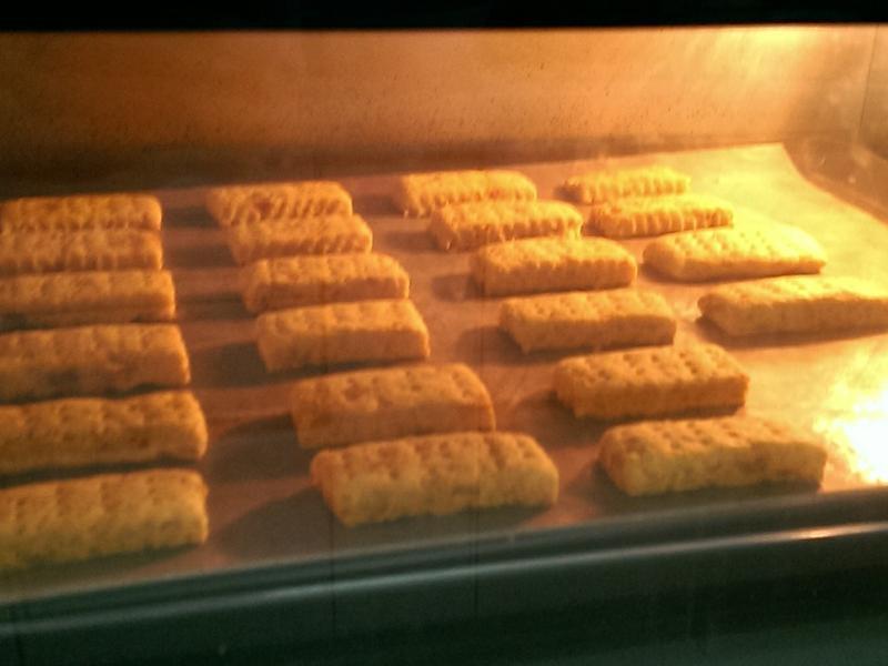 �����Ϲϱ�������