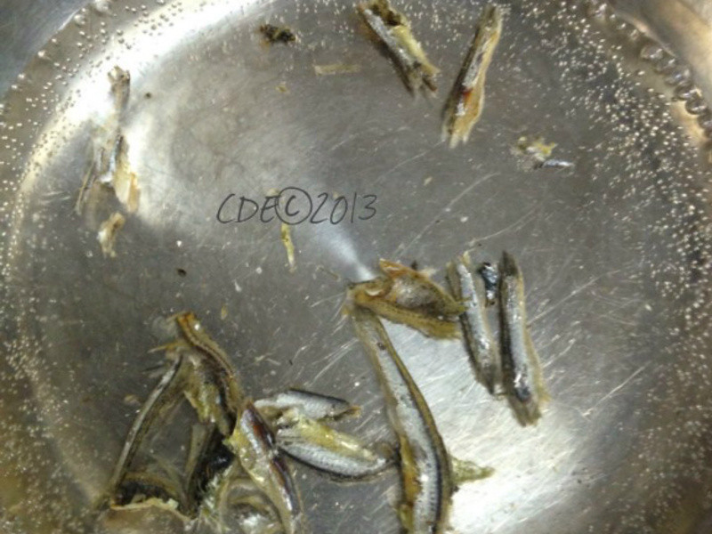 CDE ������������������