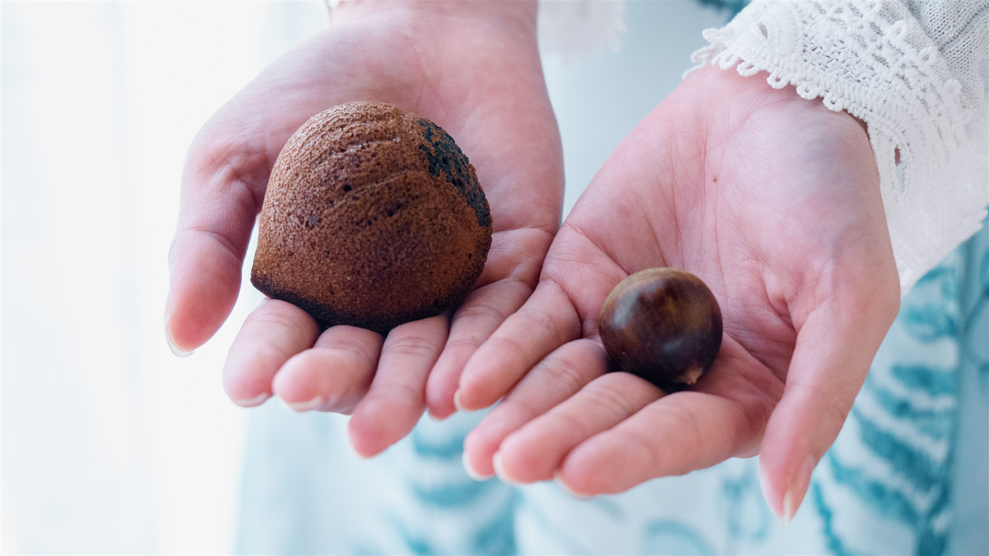 ��������ա���ζ�ռǡ�������