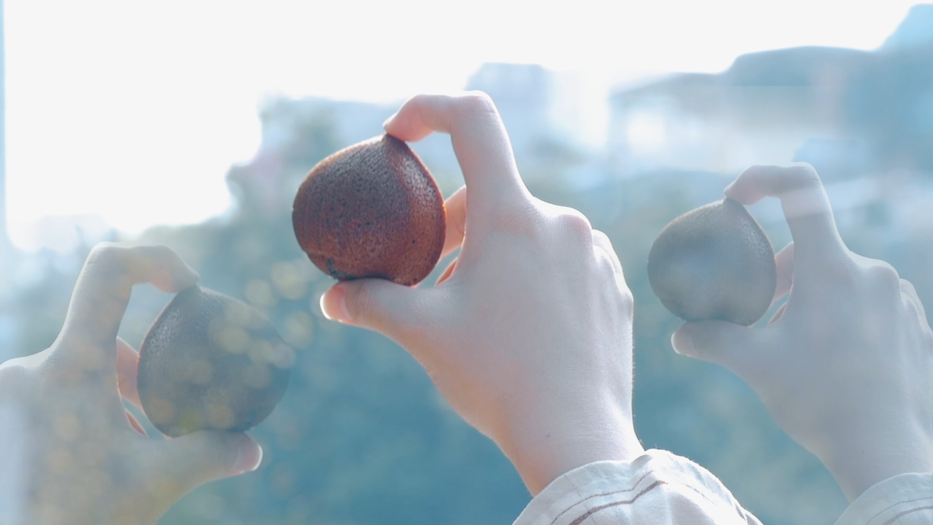 ��������ա���ζ�ռǡ�������