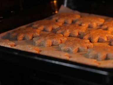 ʥ�����������ɵ�����