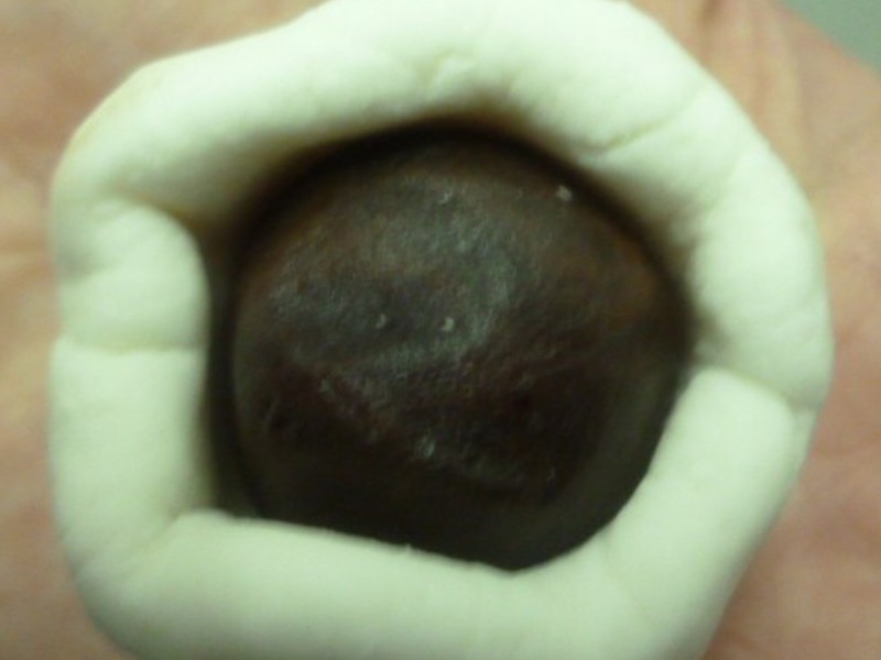 ��Բ��^(����ʳ)������