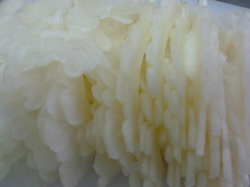 [�������������ζ]����ζ����(����ʳ)������