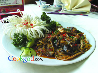 ��������Ƥ������