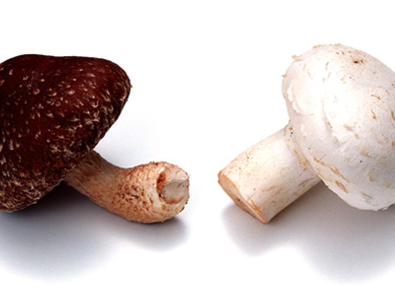 ��«���ʹ�������