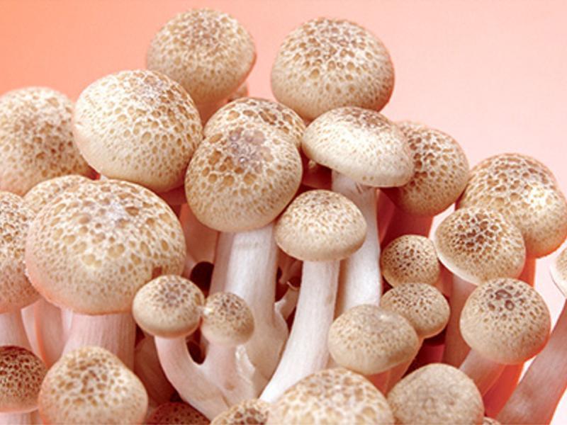 ��«���ʹ�������