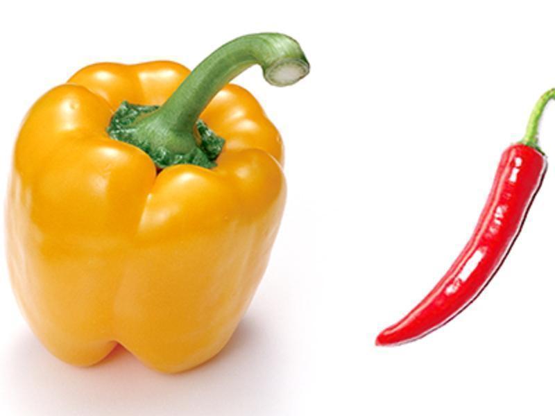 ��«���ʹ�������