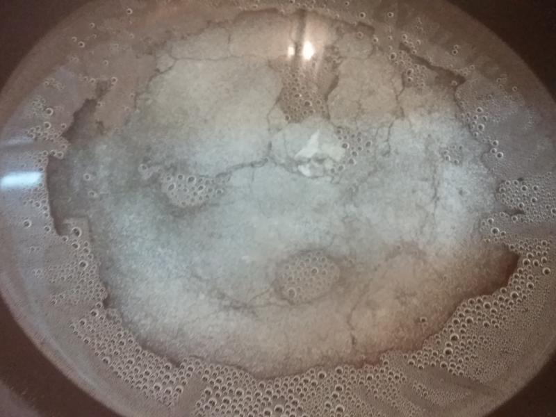 �ڷҵ�С����--���˹�(â����)������