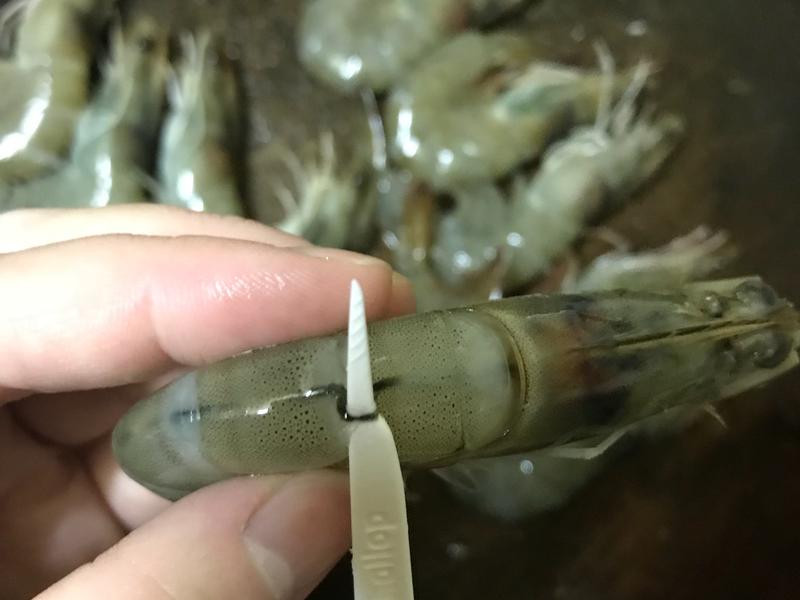 ������ହ�������