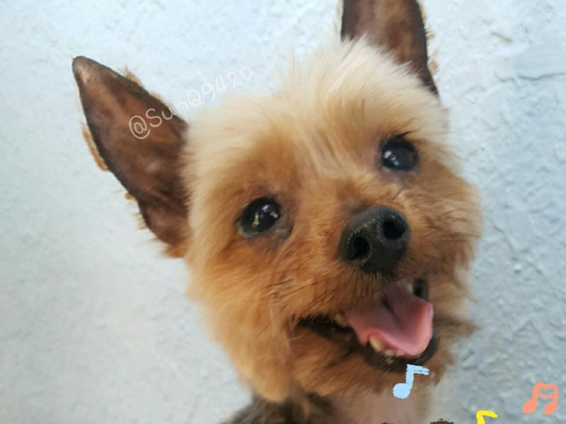 ������ʳ���⳴��������