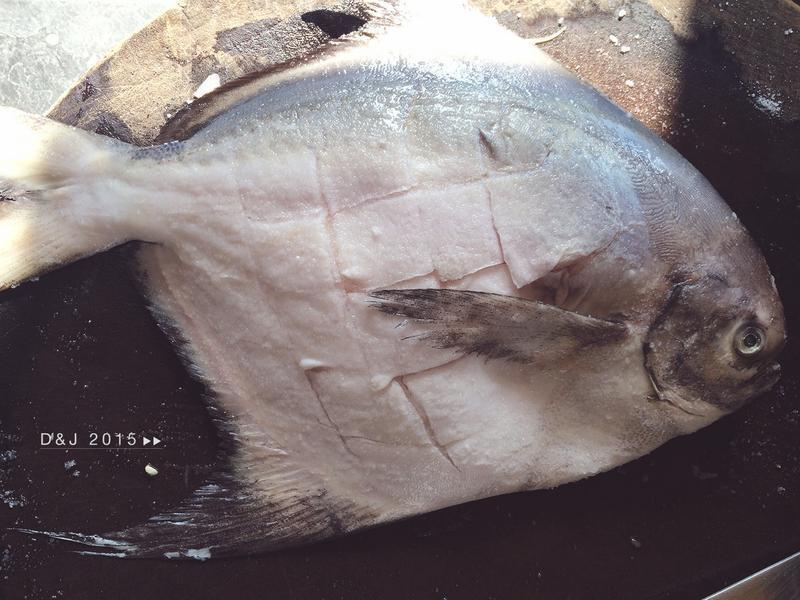 �������-����������(���٣�������)������