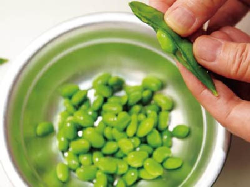 ����ë�����������