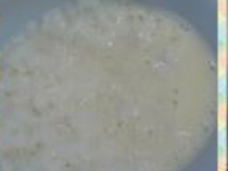 �㽶�ײ���~ʣ������������