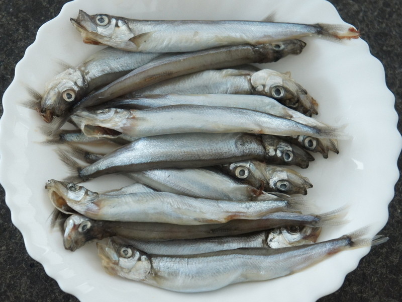 ���ζഺ�������