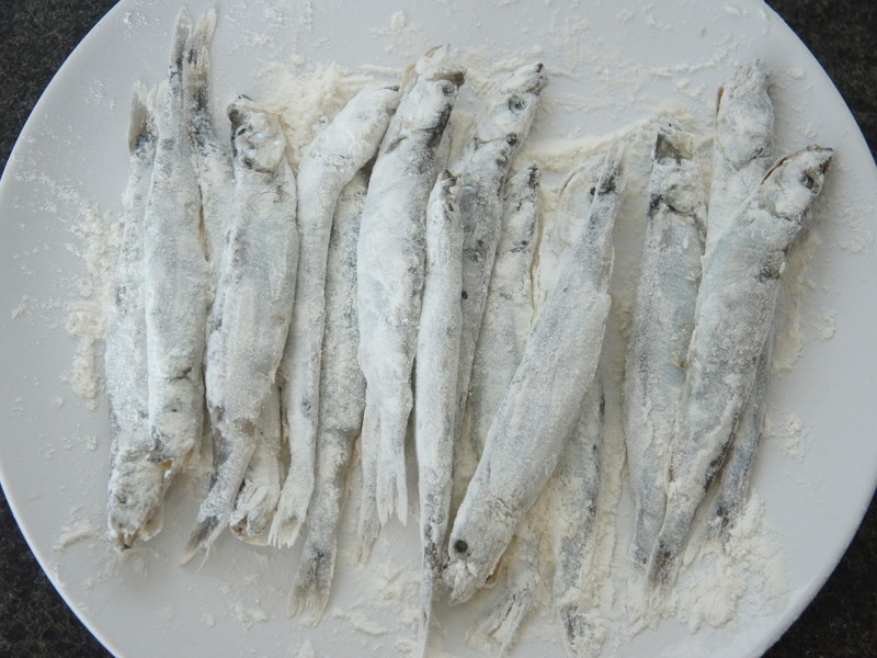 ���ζഺ�������