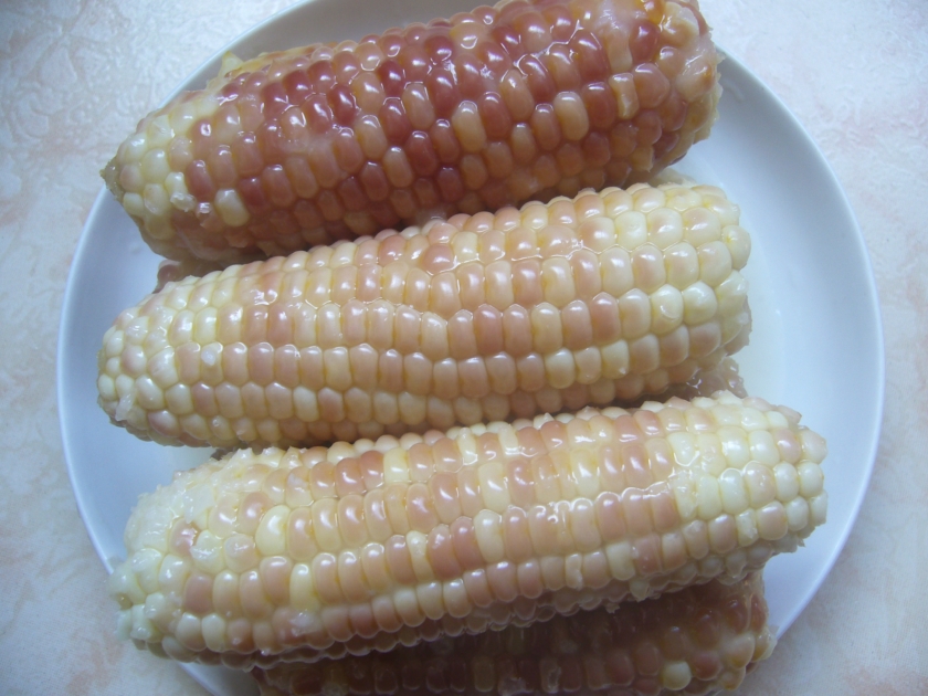 ��Ŵ���׵�����