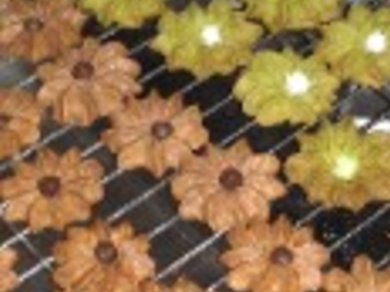 ���ֱ���������������