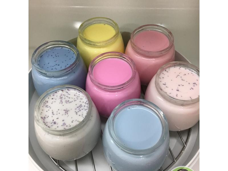 �Ÿ���ʳ�������