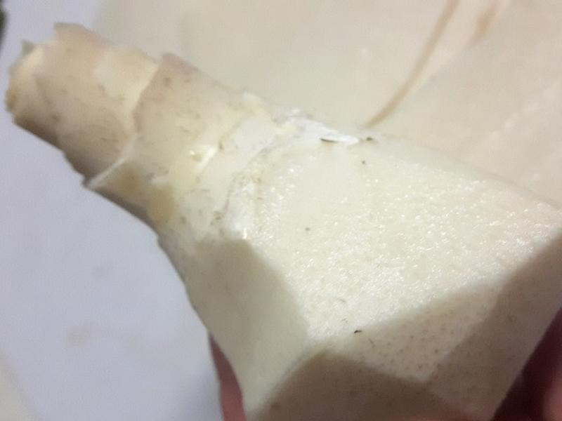 ̩�������뿧����������