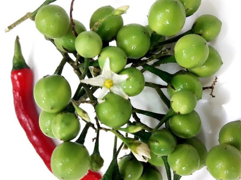 ̩�������뿧����������