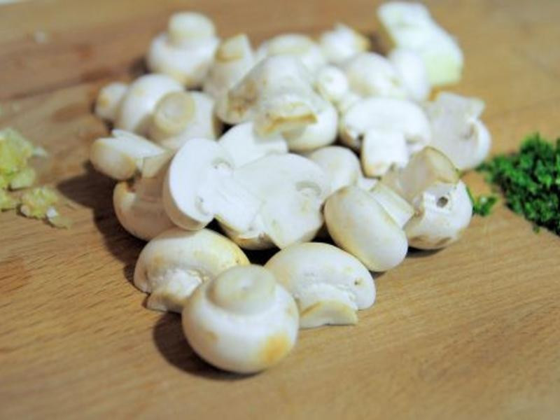 �������⳴Ģ��������