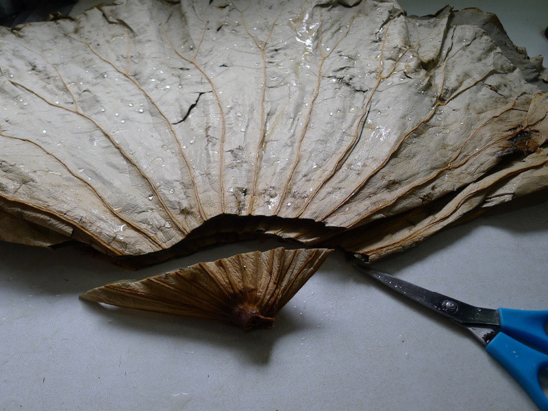 ºÉÏãÊßʳ޲Æ\·¹µÄ×ö·¨