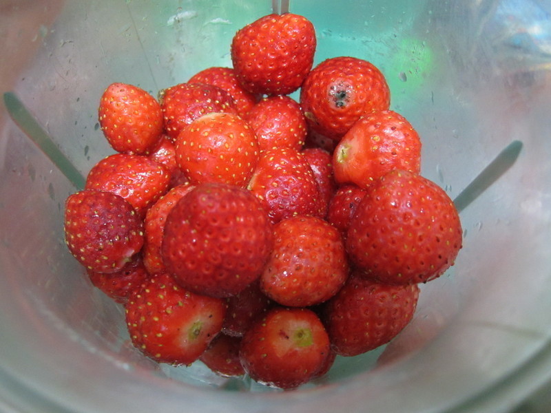 ��ݮ���񻨹���������