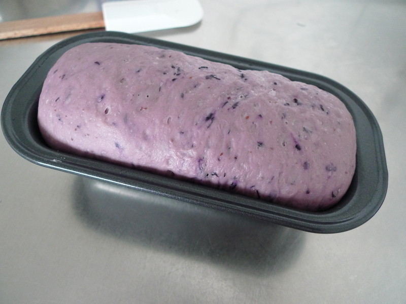 �ɿ���ݮ˫ɫ��˾������