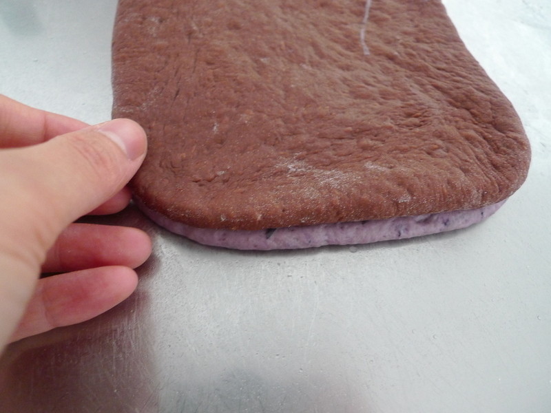 �ɿ���ݮ˫ɫ��˾������