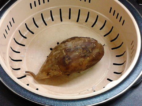 ��ĸ����������ɱ�������