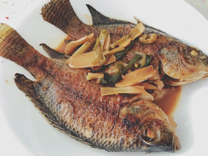 ����ζ�����������