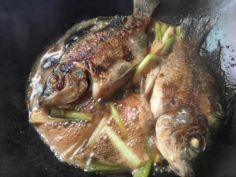 ����ζ�����������