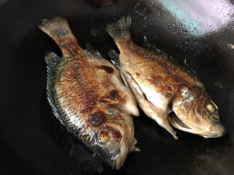 ����ζ�����������