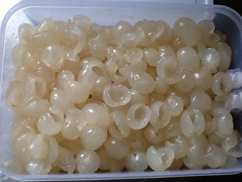 ���۹���������