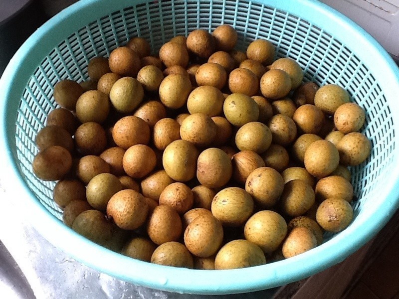 ���۹���������