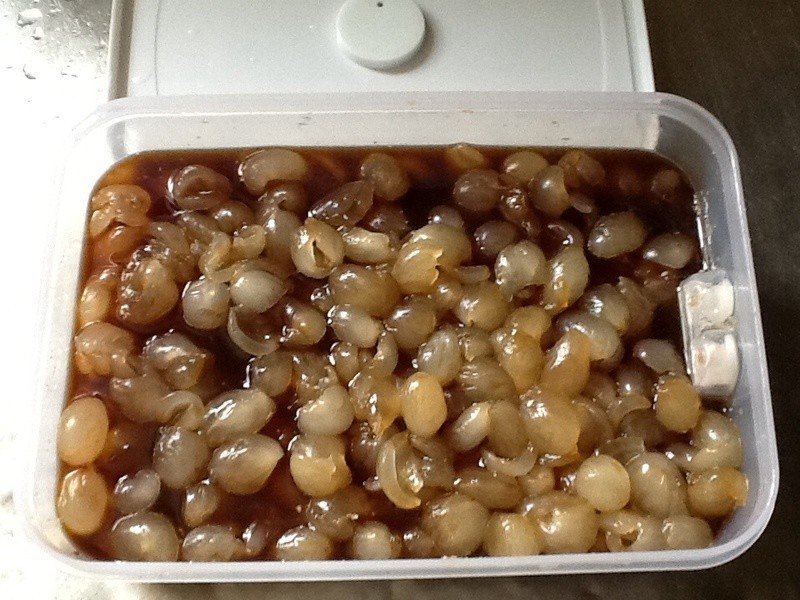 ���۹���������