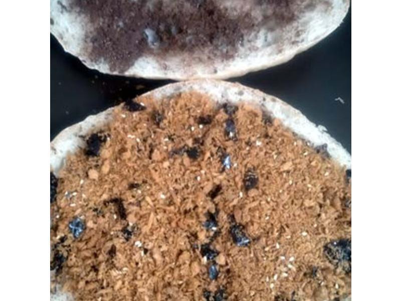 黹���x���ɡ�����������~���͵�Q�����������